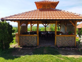Minina kuća, Gornji Milanovac